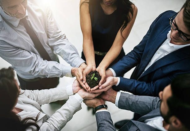 A strong, healthy tree with deep roots and a balanced canopy, representing sustainable and resilient business growth.