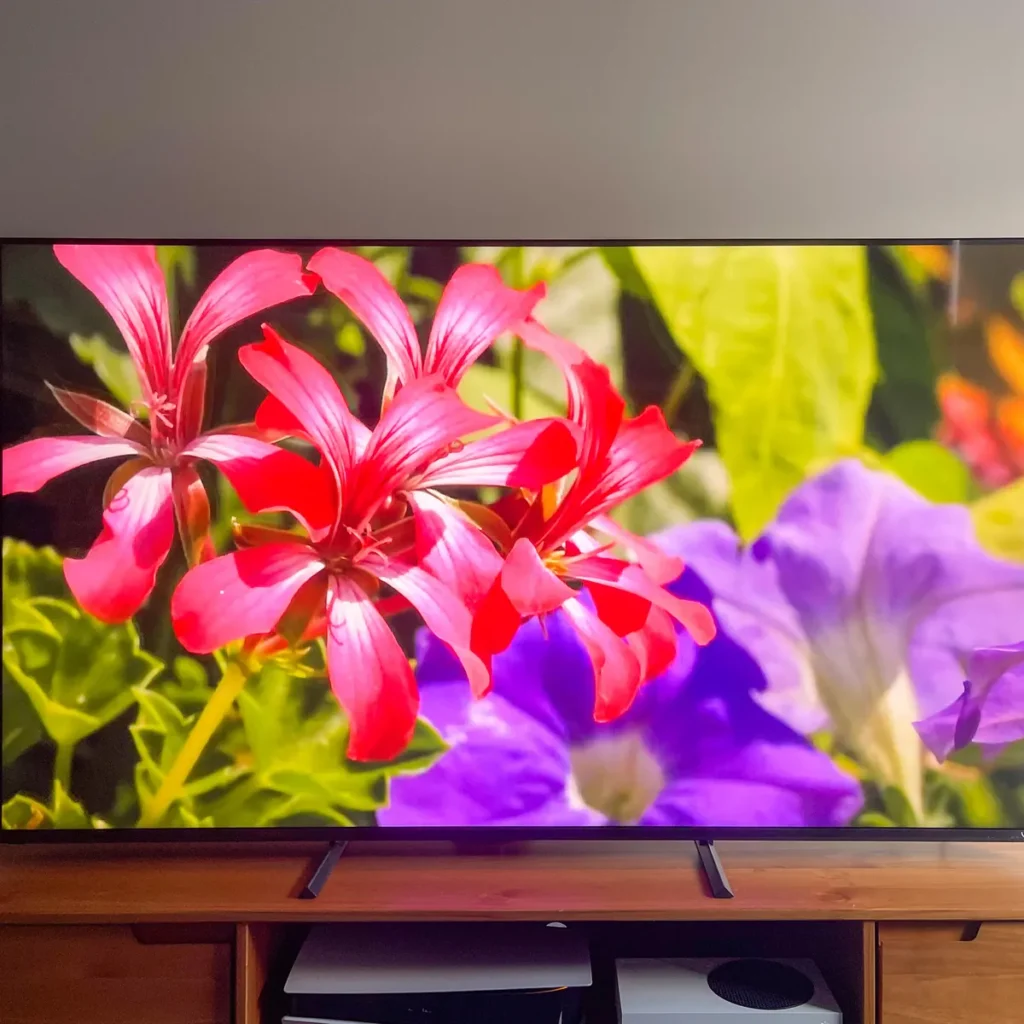 Vizio Review: Best Budget TVs with Smart Features?