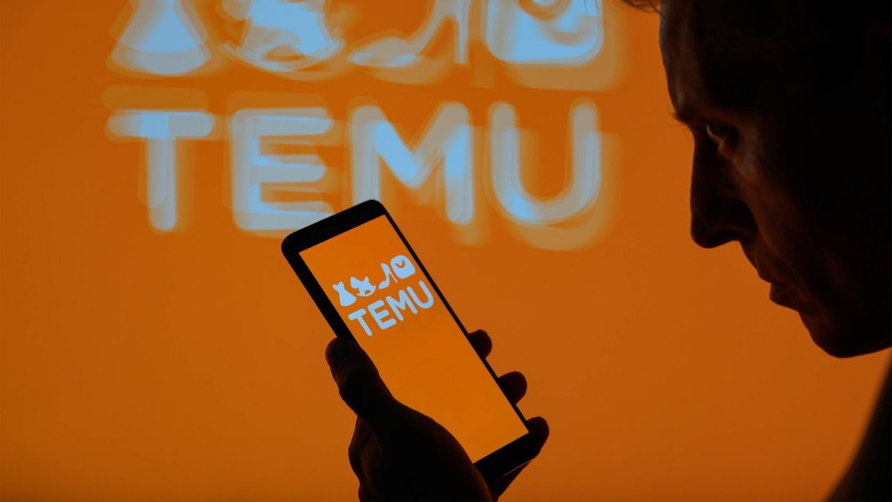 Temu Review 2026: Hidden Gems, Shipping Truths & Shopping Guide