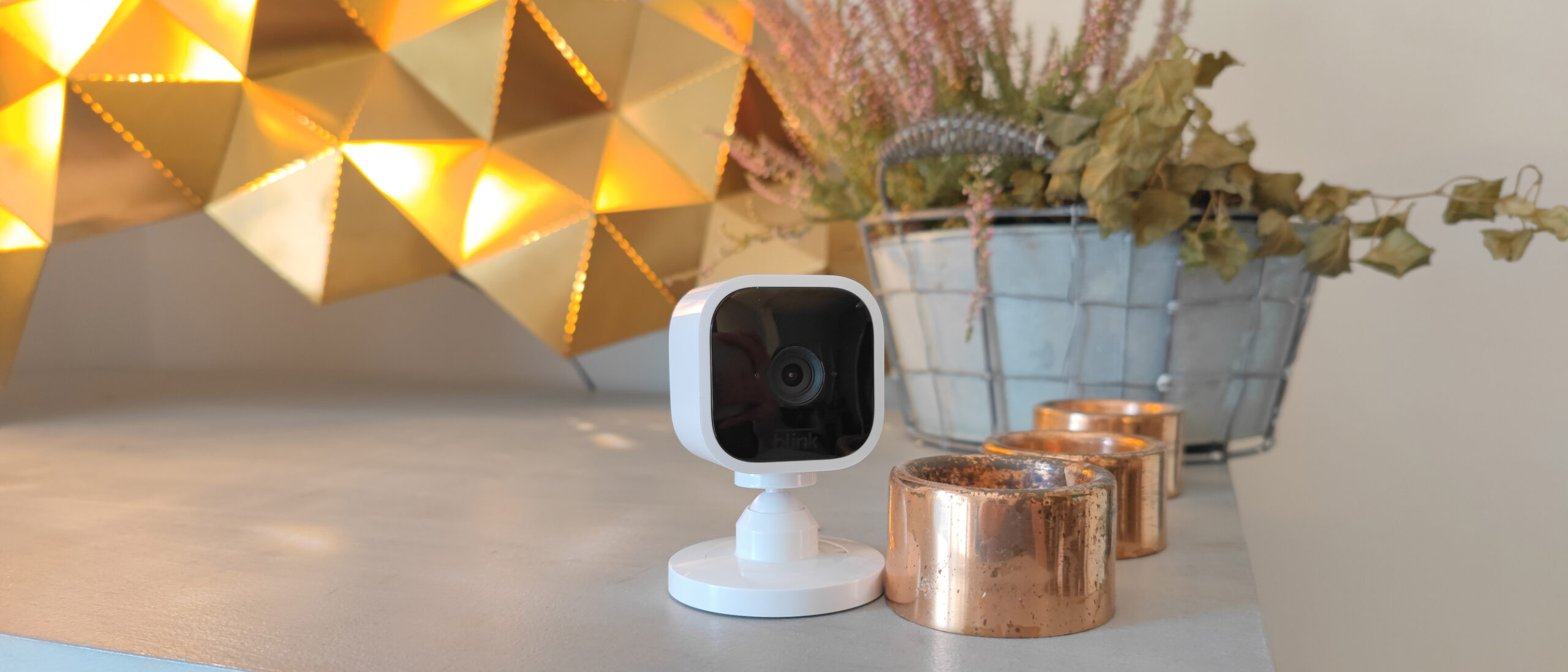 Best Budget Smart Home Brands Compared: Wyze vs TP-Link vs Ring